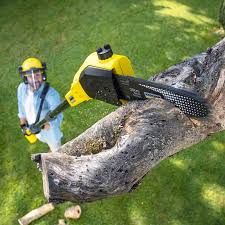 Mulching Services in Monarch Mill, SC